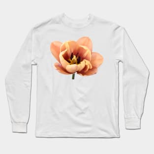 Tulipa &#39;La Belle epoque&#39;  Double Early Tulip Long Sleeve T-Shirt